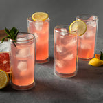 4-Piece 16oz Clear Double Wall Glass Set