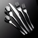 20-Piece Royal Stainless Steel Flatware Set, Stainless